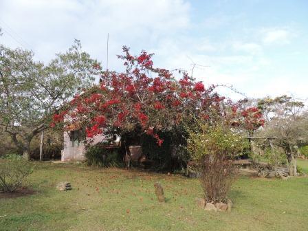 Pousada Sitio Da Serra Carrancas Exteriör bild